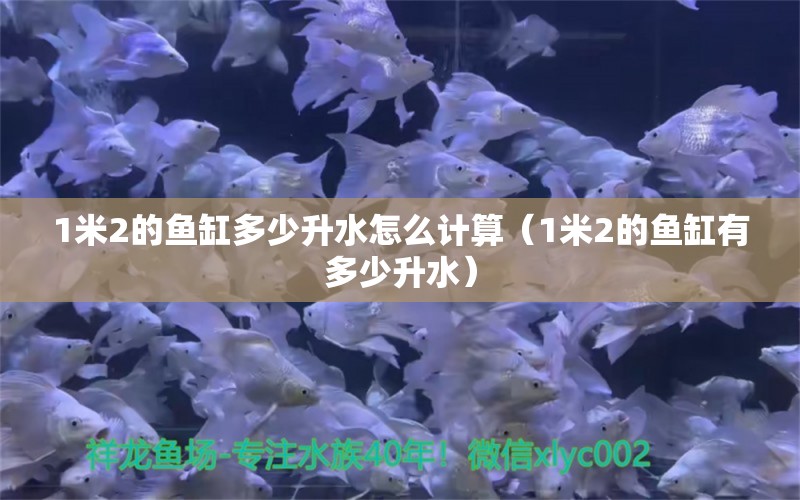 1米2的魚缸多少升水怎么計算（1米2的魚缸有多少升水） 其他品牌魚缸