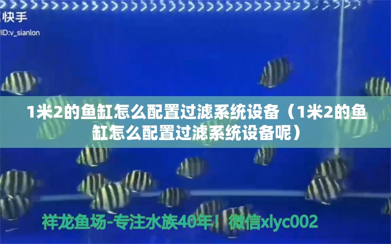 1米2的魚缸怎么配置過濾系統(tǒng)設(shè)備（1米2的魚缸怎么配置過濾系統(tǒng)設(shè)備呢）