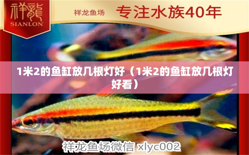 1米2的魚缸放幾根燈好（1米2的魚缸放幾根燈好看）