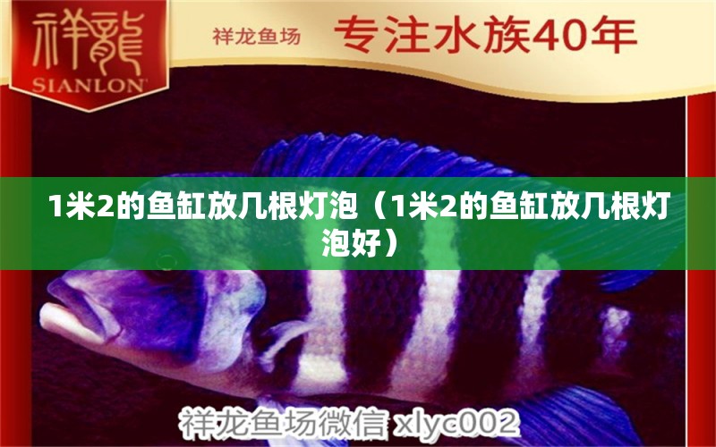 1米2的魚缸放幾根燈泡（1米2的魚缸放幾根燈泡好）