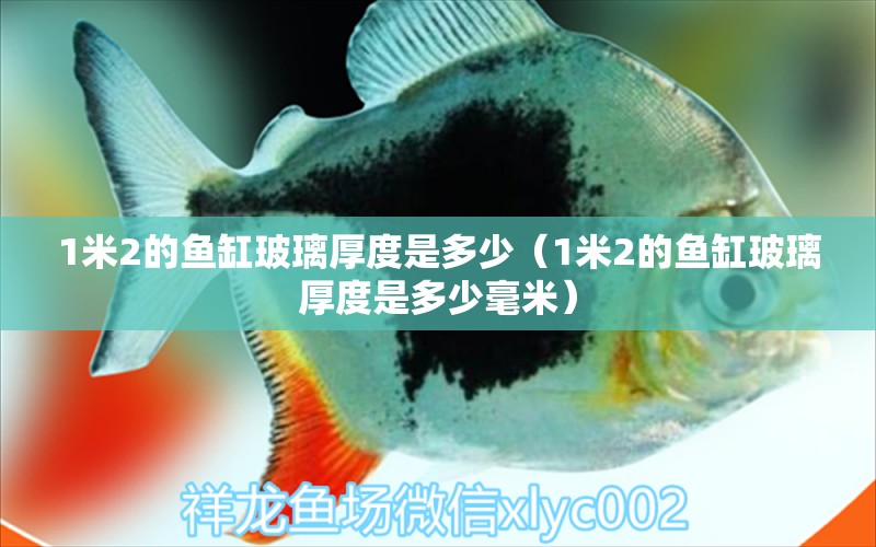 1米2的魚缸玻璃厚度是多少（1米2的魚缸玻璃厚度是多少毫米）