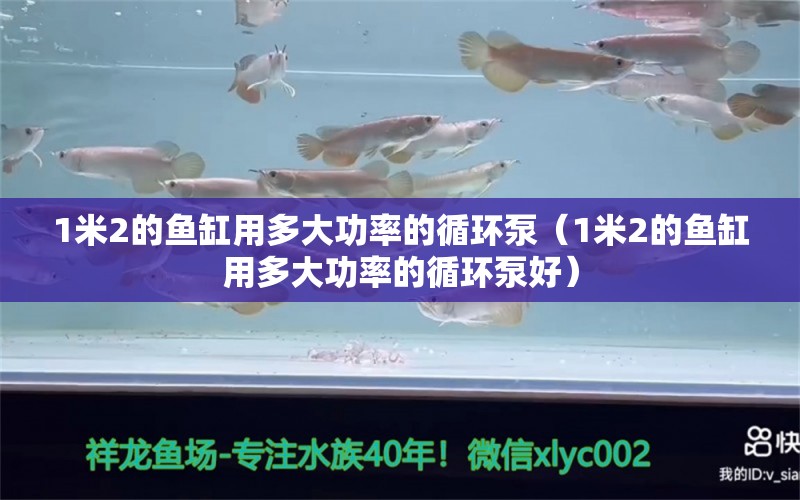 1米2的魚(yú)缸用多大功率的循環(huán)泵（1米2的魚(yú)缸用多大功率的循環(huán)泵好）