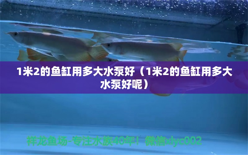 1米2的魚缸用多大水泵好（1米2的魚缸用多大水泵好呢）