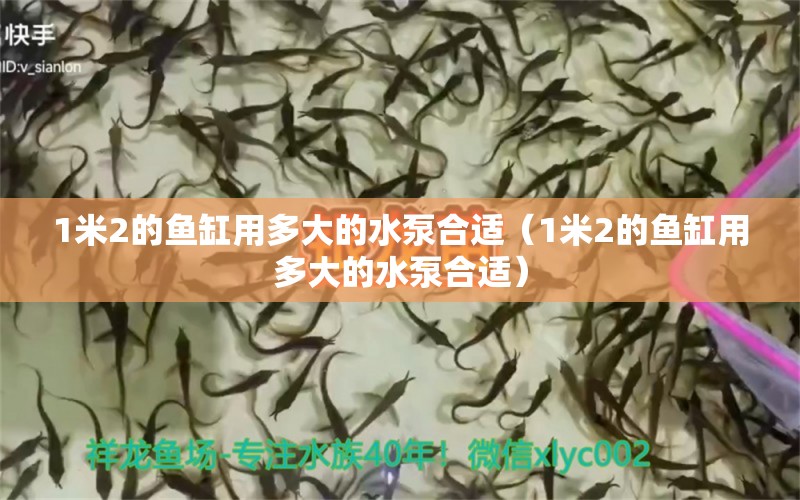 1米2的魚缸用多大的水泵合適（1米2的魚缸用多大的水泵合適）