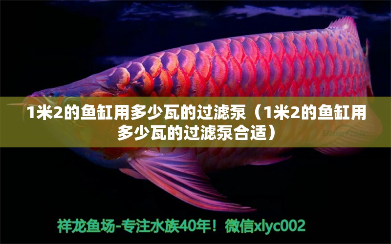 1米2的魚缸用多少瓦的過濾泵（1米2的魚缸用多少瓦的過濾泵合適）