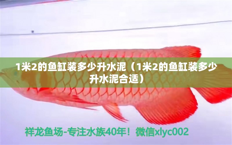 1米2的魚(yú)缸裝多少升水泥（1米2的魚(yú)缸裝多少升水泥合適）