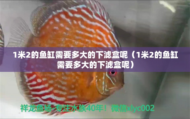 1米2的魚(yú)缸需要多大的下濾盒呢（1米2的魚(yú)缸需要多大的下濾盒呢）