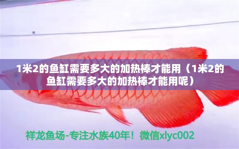 1米2的魚缸需要多大的加熱棒才能用（1米2的魚缸需要多大的加熱棒才能用呢）