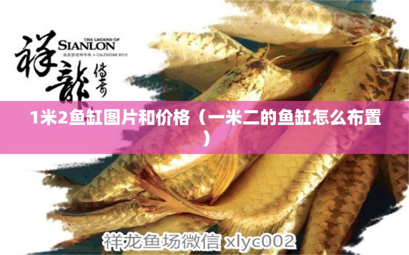 1米2魚缸圖片和價(jià)格（一米二的魚缸怎么布置） 魚缸百科