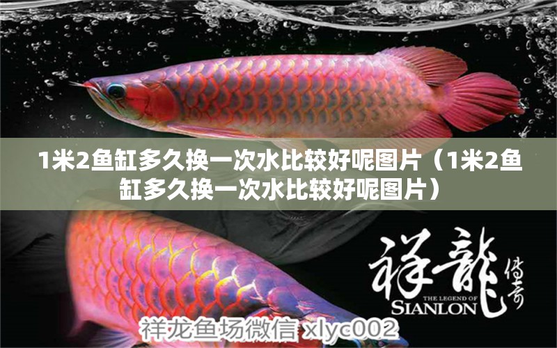 1米2魚(yú)缸多久換一次水比較好呢圖片（1米2魚(yú)缸多久換一次水比較好呢圖片） 魚(yú)缸百科