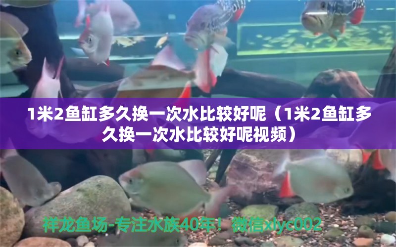 1米2魚(yú)缸多久換一次水比較好呢（1米2魚(yú)缸多久換一次水比較好呢視頻）