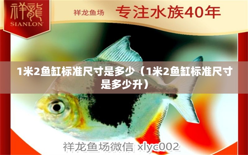 1米2魚缸標準尺寸是多少（1米2魚缸標準尺寸是多少升） 魚缸百科