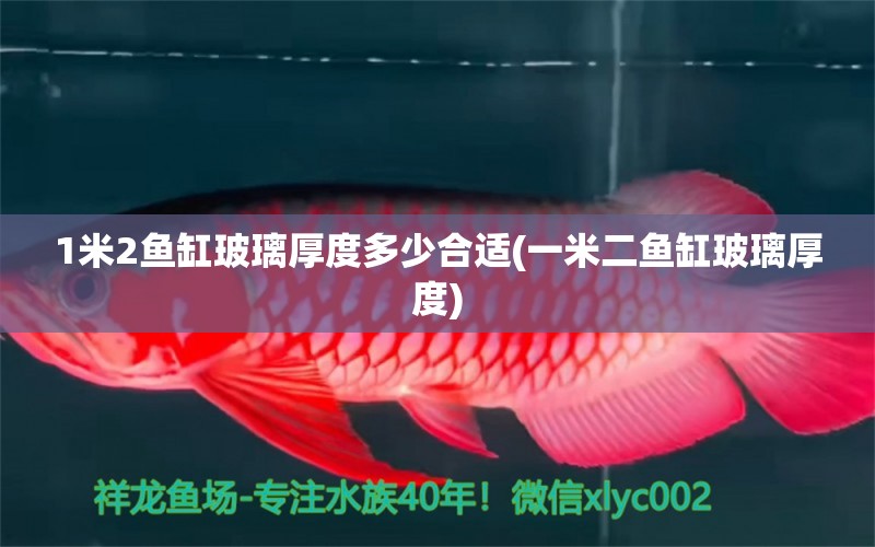 1米2魚缸玻璃厚度多少合適(一米二魚缸玻璃厚度)