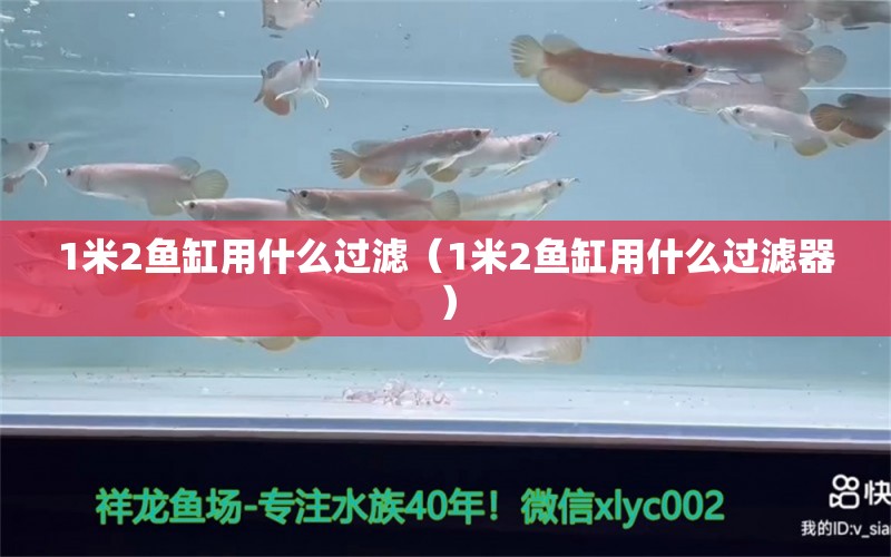 1米2魚缸用什么過濾（1米2魚缸用什么過濾器） 魚缸百科