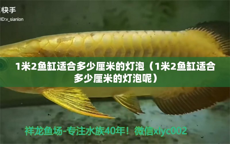 1米2魚缸適合多少厘米的燈泡（1米2魚缸適合多少厘米的燈泡呢）