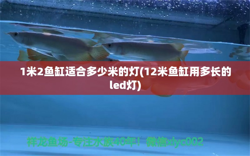 1米2魚缸適合多少米的燈(12米魚缸用多長的led燈)