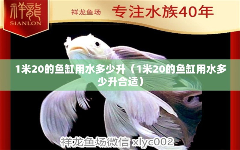 1米20的魚(yú)缸用水多少升（1米20的魚(yú)缸用水多少升合適）