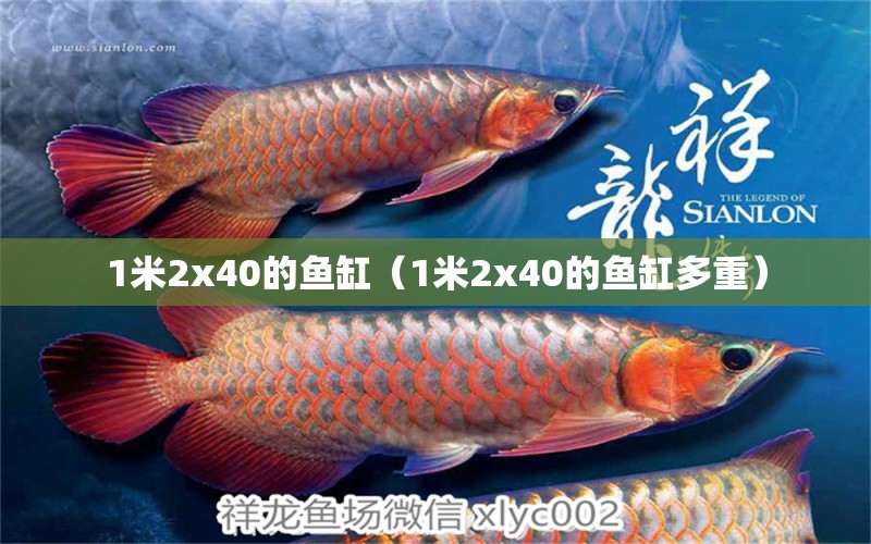 1米2x40的魚缸（1米2x40的魚缸多重） 其他品牌魚缸 第1張