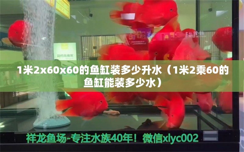 1米2x60x60的魚(yú)缸裝多少升水（1米2乘60的魚(yú)缸能裝多少水） 魚(yú)缸百科