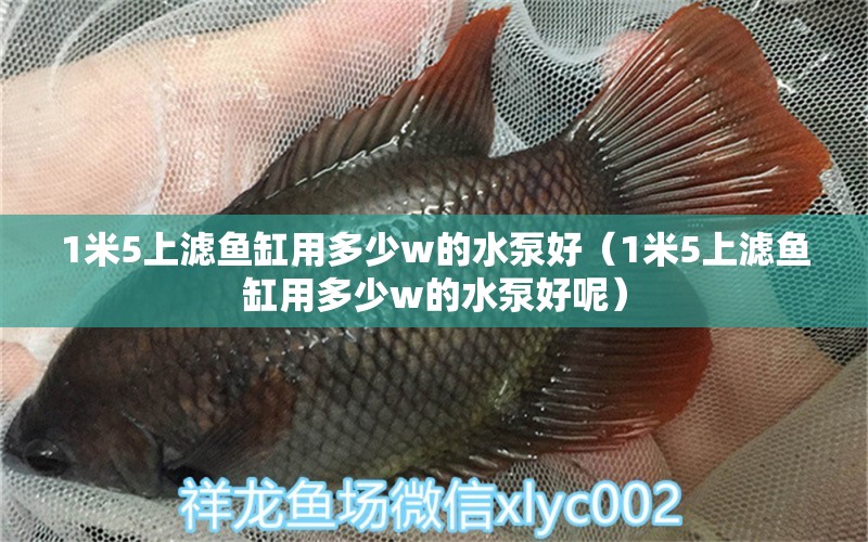 1米5上濾魚缸用多少w的水泵好（1米5上濾魚缸用多少w的水泵好呢）