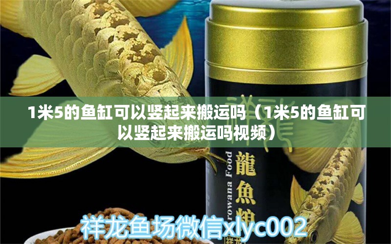 1米5的魚缸可以豎起來搬運嗎（1米5的魚缸可以豎起來搬運嗎視頻） 魚缸百科