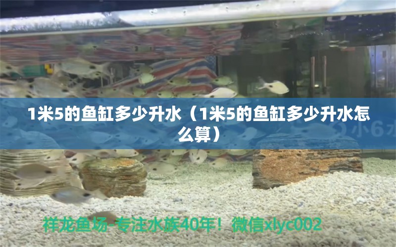 1米5的魚缸多少升水（1米5的魚缸多少升水怎么算） 魚缸百科