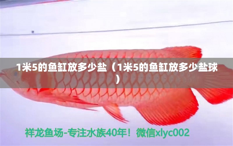 1米5的魚缸放多少鹽（1米5的魚缸放多少鹽球） 其他品牌魚缸