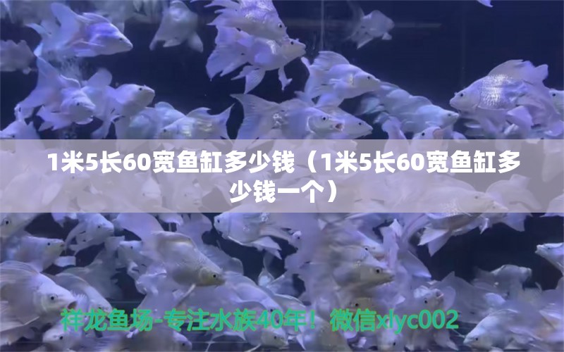 1米5長60寬魚缸多少錢（1米5長60寬魚缸多少錢一個）