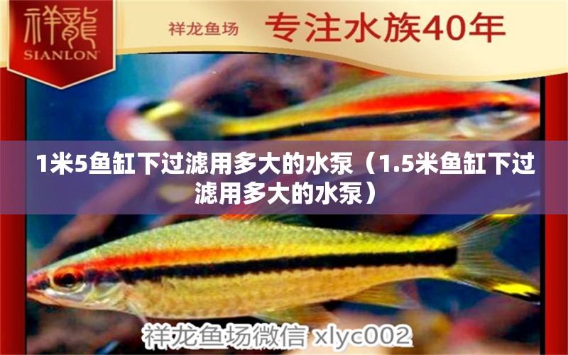 1米5魚缸下過濾用多大的水泵（1.5米魚缸下過濾用多大的水泵）