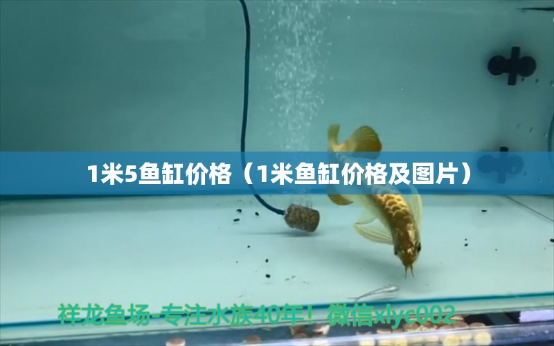 1米5魚缸價(jià)格（1米魚缸價(jià)格及圖片）