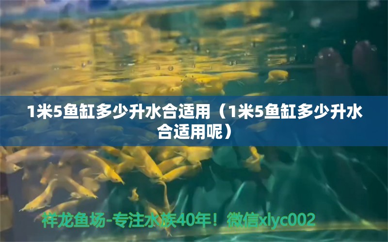 1米5魚缸多少升水合適用（1米5魚缸多少升水合適用呢）