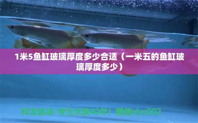 1米5魚缸玻璃厚度多少合適（一米五的魚缸玻璃厚度多少） 撒旦鴨嘴魚