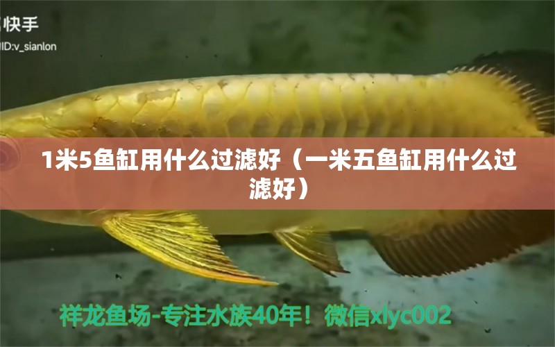 1米5魚缸用什么過濾好（一米五魚缸用什么過濾好）