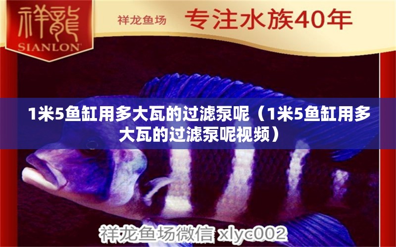 1米5魚(yú)缸用多大瓦的過(guò)濾泵呢（1米5魚(yú)缸用多大瓦的過(guò)濾泵呢視頻）