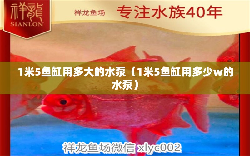 1米5魚缸用多大的水泵（1米5魚缸用多少w的水泵）