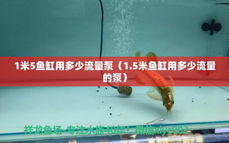 1米5魚缸用多少流量泵（1.5米魚缸用多少流量的泵）