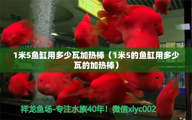 1米5魚缸用多少瓦加熱棒（1米5的魚缸用多少瓦的加熱棒） 其他品牌魚缸