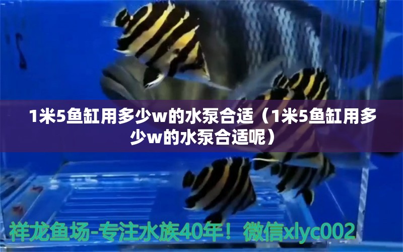 1米5魚缸用多少w的水泵合適（1米5魚缸用多少w的水泵合適呢）