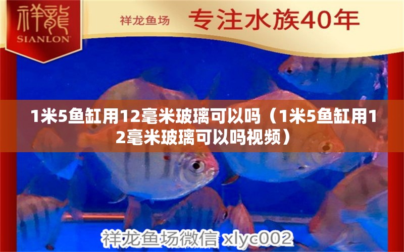 1米5魚缸用12毫米玻璃可以嗎（1米5魚缸用12毫米玻璃可以嗎視頻） 魚缸百科