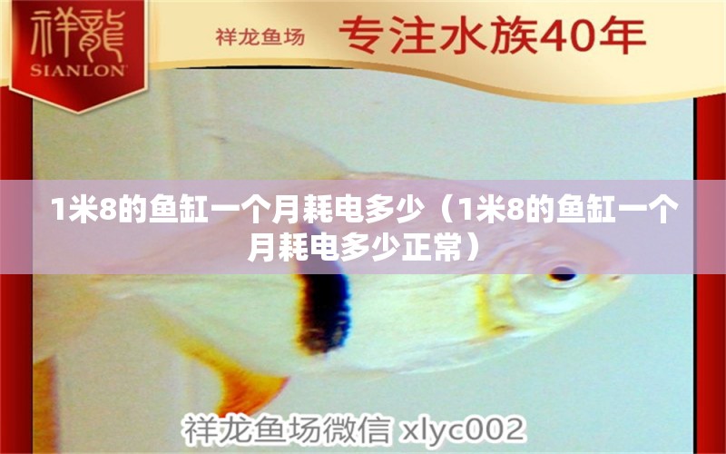 1米8的魚缸一個(gè)月耗電多少（1米8的魚缸一個(gè)月耗電多少正常） 魚缸百科