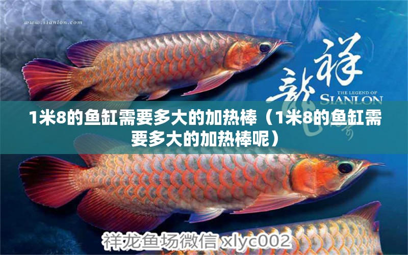 1米8的魚缸需要多大的加熱棒（1米8的魚缸需要多大的加熱棒呢）