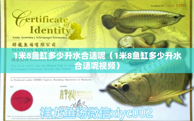 1米8魚(yú)缸多少升水合適呢（1米8魚(yú)缸多少升水合適呢視頻） 魚(yú)缸百科