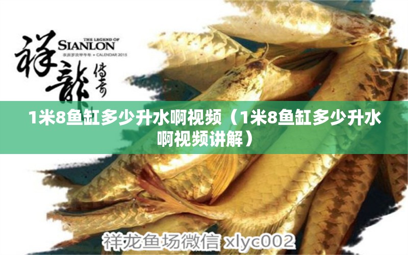 1米8魚缸多少升水啊視頻（1米8魚缸多少升水啊視頻講解）