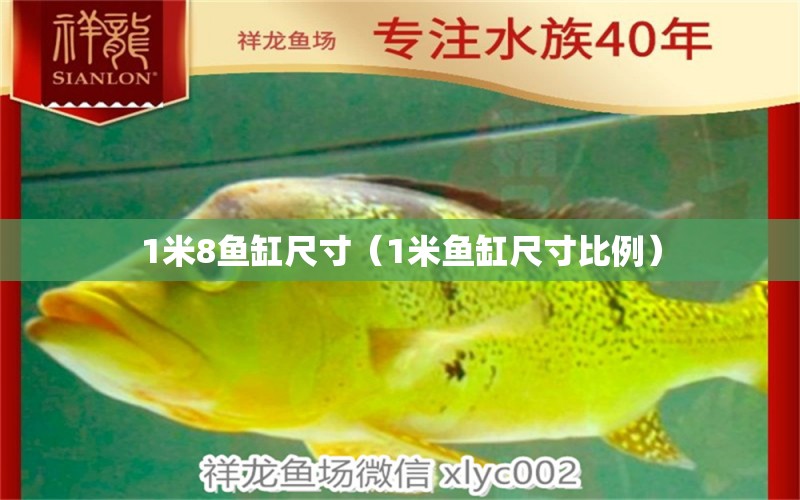 1米8魚缸尺寸（1米魚缸尺寸比例）