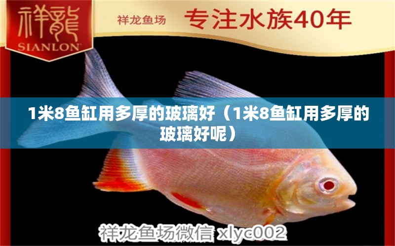 1米8魚缸用多厚的玻璃好（1米8魚缸用多厚的玻璃好呢） 魚缸百科