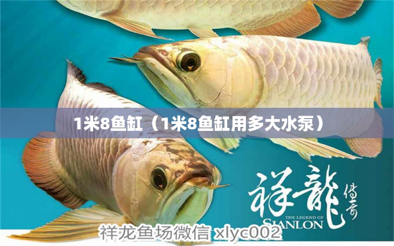 1米8魚缸（1米8魚缸用多大水泵）