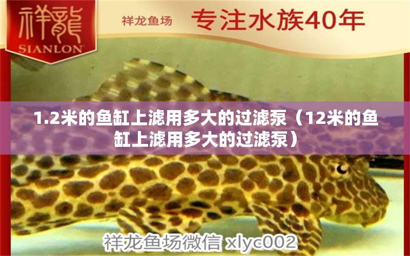 1.2米的魚(yú)缸上濾用多大的過(guò)濾泵（12米的魚(yú)缸上濾用多大的過(guò)濾泵）