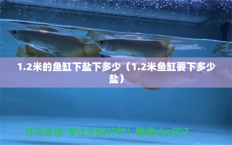 1.2米的魚缸下鹽下多少（1.2米魚缸要下多少鹽） 其他品牌魚缸