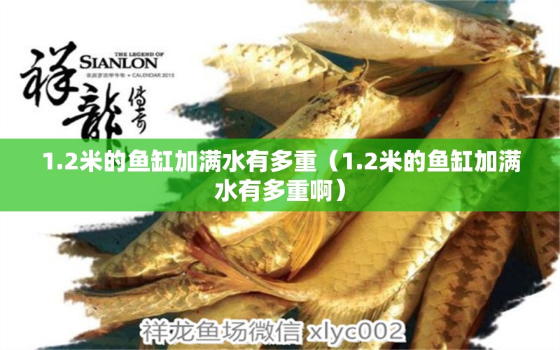 1.2米的魚缸加滿水有多重（1.2米的魚缸加滿水有多重?。? title=