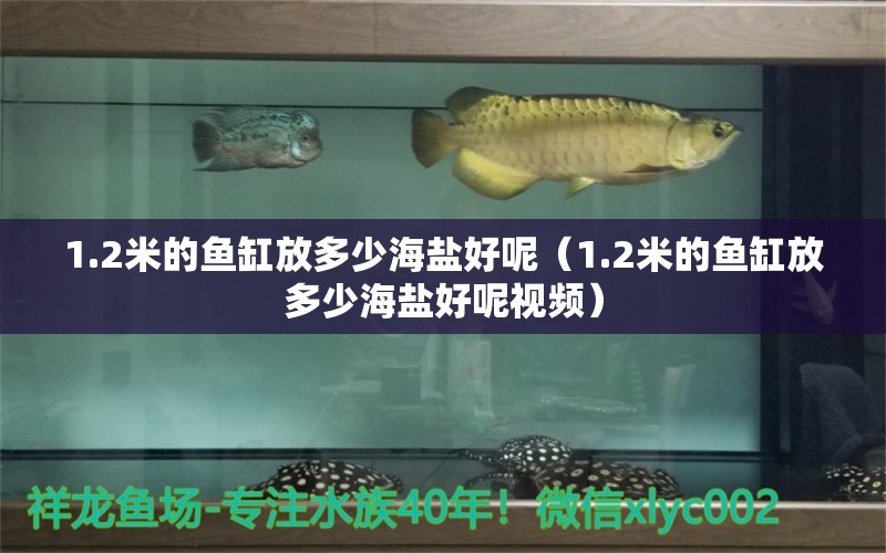 1.2米的魚缸放多少海鹽好呢（1.2米的魚缸放多少海鹽好呢視頻）